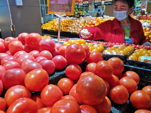 深圳強(qiáng)化食用農(nóng)產(chǎn)品質(zhì)量安全監(jiān)管 批發(fā)市場月快檢900次，筑牢全鏈條安全防線